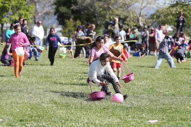 Egg Hunt